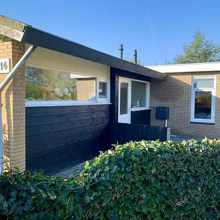 Great Near The And Sea